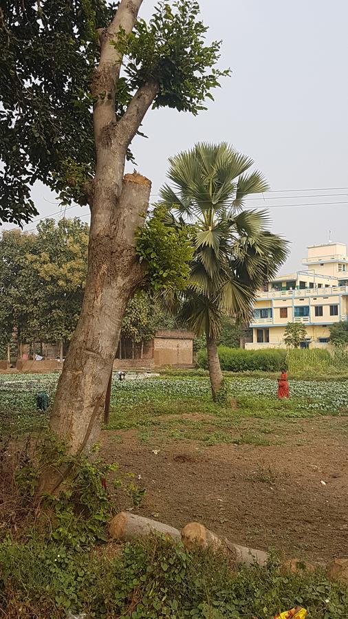 Ansari House Apartment Bodhgaya Bagian luar foto