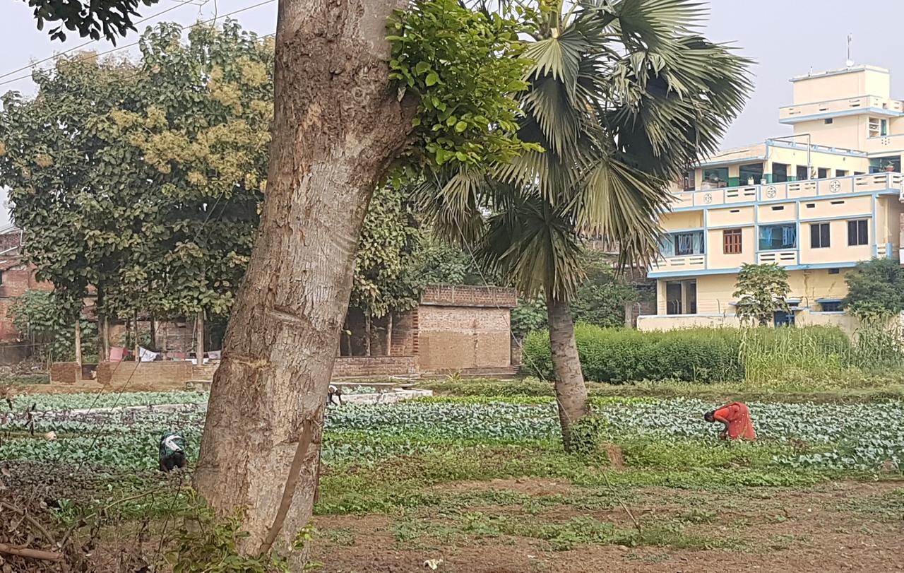 Ansari House Apartment Bodhgaya Bagian luar foto